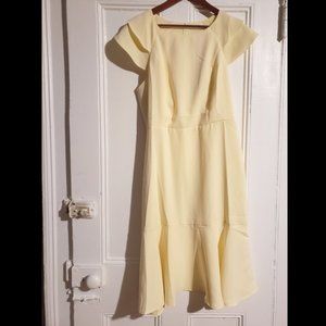 Banana Republic Flutter-Sleeve Sheath Dress